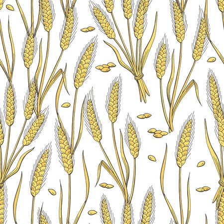 Wheat graphic color seamless pattern background sketch illustration vectorのイラスト素材