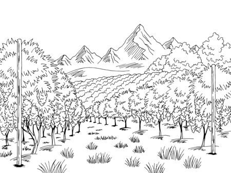 Vineyard graphic black white landscape sketch illustration vectorのイラスト素材