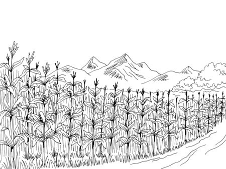 Cornfield graphic black white landscape sketch illustration vectorのイラスト素材