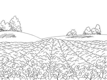 Cotton field graphic black white landscape sketch illustration vectorのイラスト素材