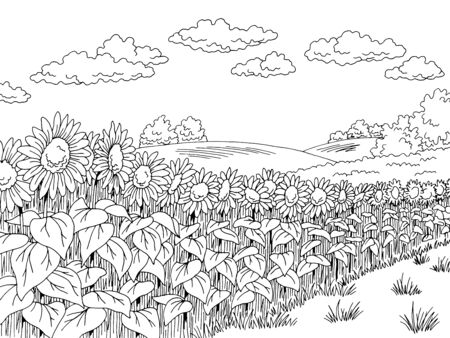 Sunflower field graphic black white landscape sketch illustration vectorのイラスト素材