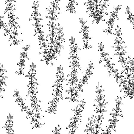 Rosemary herb graphic sketch black white seamless pattern background illustration vectorのイラスト素材