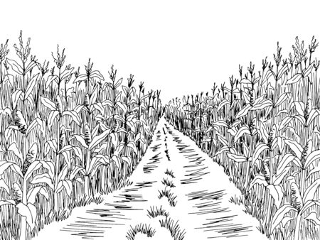 Cornfield road graphic black white landscape sketch illustration vectorのイラスト素材