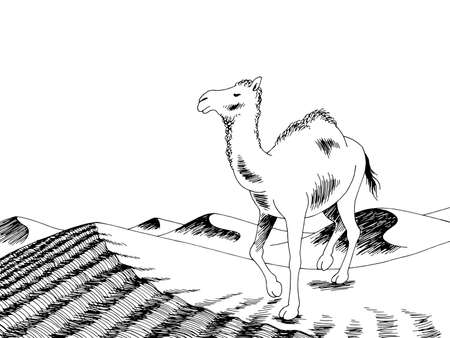 Camel desert graphic black white landscape sketch illustration vectorのイラスト素材