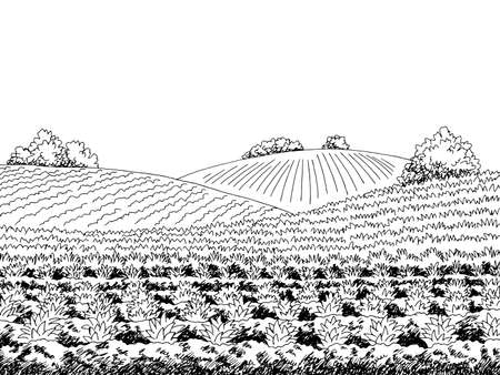 Field agriculture graphic black white landscape sketch illustration vectorのイラスト素材