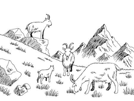 Goat feeding grass meadow mountains graphic black white sketch illustration vectorのイラスト素材