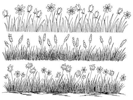 Grass flower set graphic black white isolated sketch illustration vectorのイラスト素材