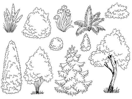 Plant set graphic garden bush black white side view isolated illustration vectorのイラスト素材