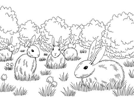 Rabbits in a meadow graphic black white sketch illustration vectorのイラスト素材