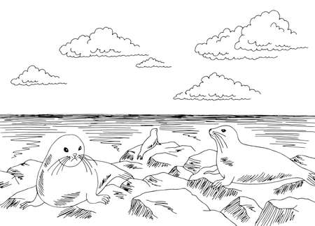 Seal cliff sea coast graphic black white landscape sketch illustration vectorのイラスト素材