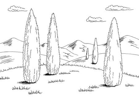 Cypress landscape graphic cypress black white sketch illustration vectorのイラスト素材