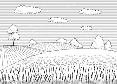 Field graphic black white landscape sketch illustration vectorのイラスト素材