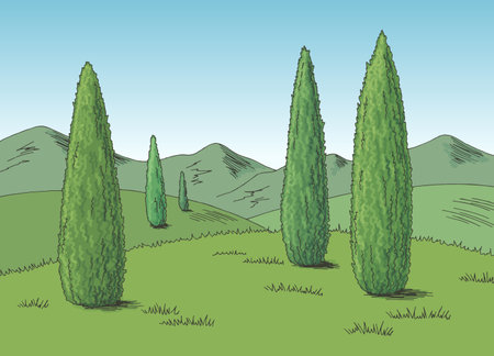 Cypress landscape graphic cypress color sketch illustration vectorのイラスト素材