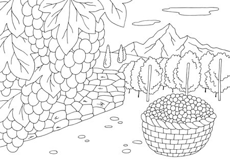 Vineyard coloring graphic black white landscape sketch illustration vectorのイラスト素材