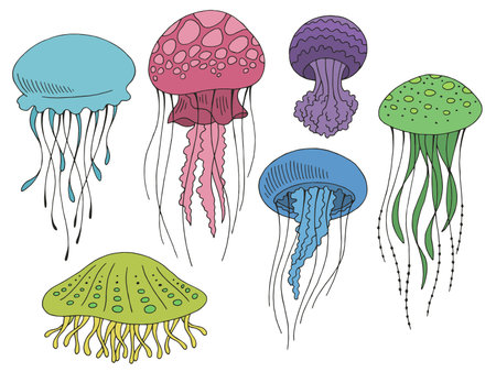 Jellyfish graphic set color isolated sketch illustration vectorのイラスト素材