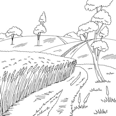 Field road graphic black white rural landscape sketch illustration vectorのイラスト素材