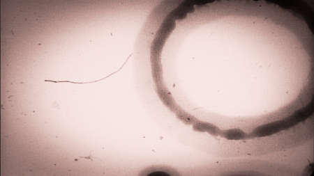  Film leader frame with writing, hairs, dirt and dust.