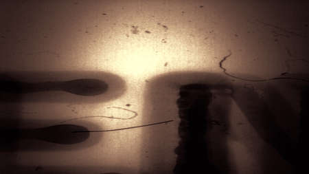  Film leader frame with writing, hairs, dirt and dust.