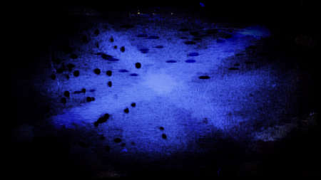 Grunge 10501 from a series of abstract grunge textures and backgrounds.の写真素材