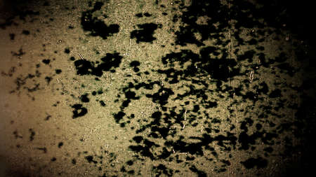 Grunge 10637 from a series of high resolution grunge textures and backgrounds.