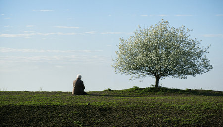 Solitude Under Springs Blossomsの素材