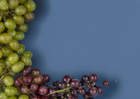 top view of grapes on blue background with copy spaceの写真素材