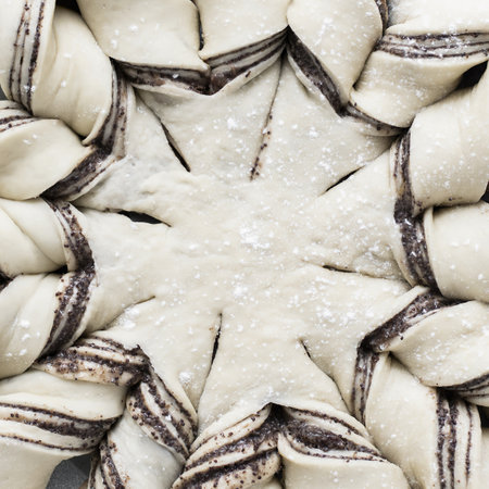 Closeup of unbaked poppy seed breadの写真素材