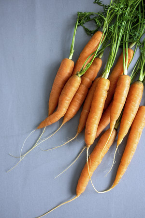 Pile of fresh organic carrots