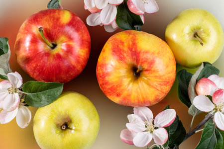 Ripe whole apples and pink and white Apple tree flowers close up