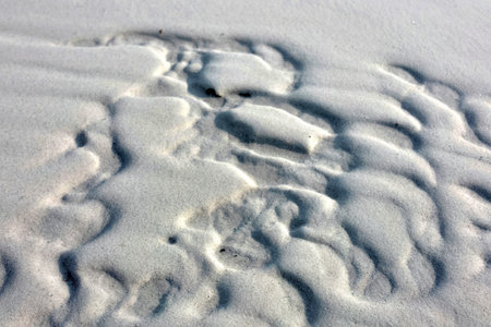 Close-up view of intricate patterns etched into light gray beach sand by wind and water, creating a...