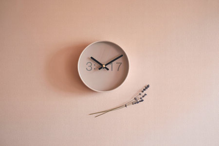 A minimalist image featuring a beige round clock displaying 3:17, accompanied by a small sprig of...
