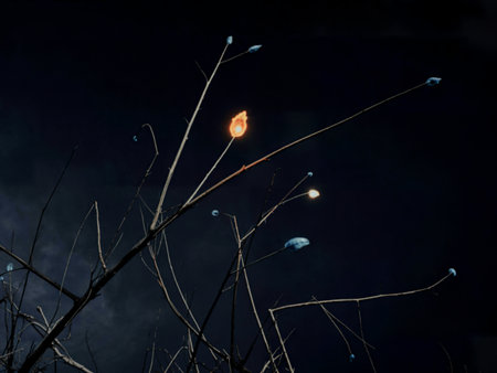 Bare branches reach upward against a dark night sky, adorned with small flames and light blue...