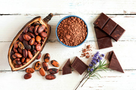 Cocoa powder and cacao beans on wooden backgroundの写真素材