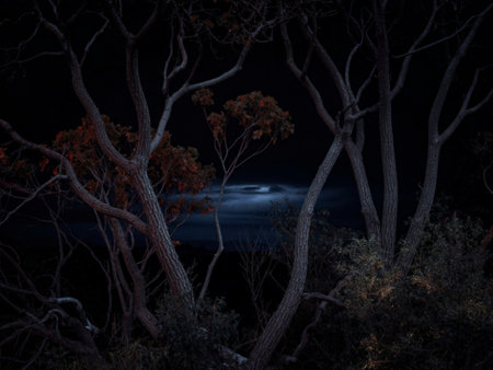 Silhouetted trees with reddish-brown leaves stand out against a dark, cloudy night sky. The scene evokes a sense of mystery and tranquility.の写真素材
