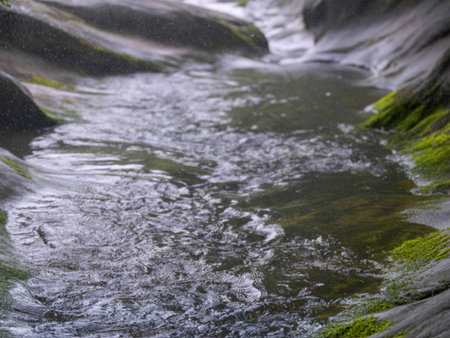 A tranquil creek flows gently over smooth, mossy rocks during a light rain. The water is clear,...