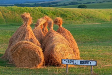 Several large, golden hay bales sit in a lush green field at sunset, with a sign reading Harvest...
