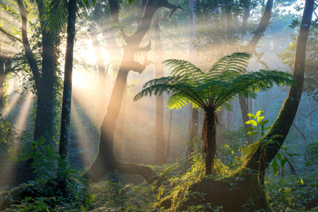 Golden sunlight streams through a dense rainforest canopy, illuminating a vibrant fern and...