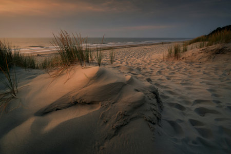A tranquil beach scene at sunset, showcasing gently sloping sand dunes with sparse beach grass,...