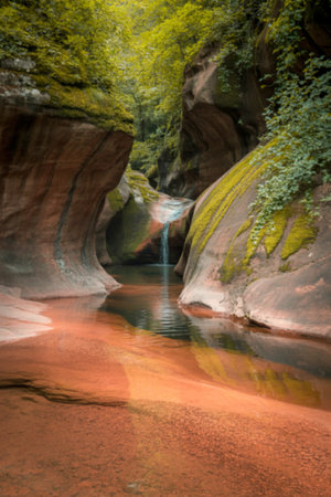 A tranquil waterfall cascades into a calm pool within a narrow gorge. Moss-covered sandstone walls create a lush, natural enclosure.の写真素材