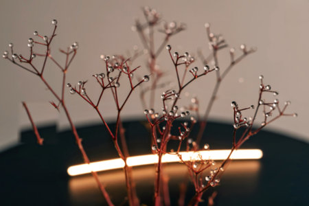 Close-up view of delicate red stems adorned with glistening dewdrops, illuminated by a soft, warm light source in the background.の素材