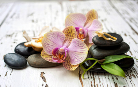 Spa stones, orchid flower heads on a wooden backgroundの素材