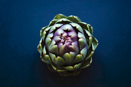 A single, vibrant artichoke is presented from a top-down perspective against a deep blue background....