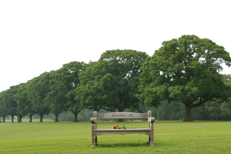 An ornate wooden park bench sits in a manicured grassy field, facing a row of large, lush green trees. A single red rose rests on the bench, inscribed with 'Remember Me'.の素材