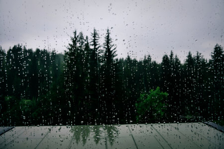 View of a lush green forest through a window covered in numerous water droplets. The sky is overcast, creating a moody and serene atmosphere.の写真素材