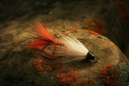 A close-up, detailed view of a colorful salmon fishing fly resting on a textured rock. The fly features bright orange and white feathers, a curved hook, and is surrounded by orange and gray lichen.の写真素材