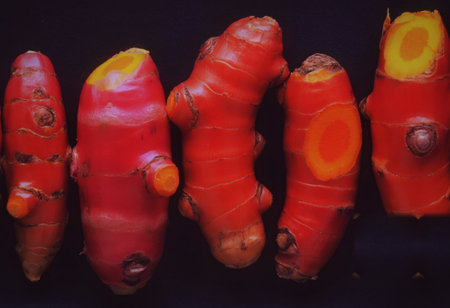 Five vibrant red turmeric rhizomes are arranged horizontally against a dark, textured surface. Some roots show exposed orange interiors, highlighting their fresh, earthy quality.の写真素材