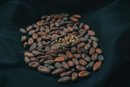 A pile of roasted cocoa beans, showing varied brown and reddish hues, are artfully arranged in a circular pattern on a dark, textured surface.の写真素材