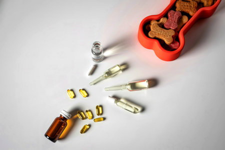 A collection of dog supplements, including capsules and vials, scattered near a bright orange bone-shaped container filled with dog treats.の写真素材