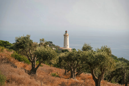 A tall, white lighthouse stands on a grassy hill dotted with olive trees, with the calm blue sea stretching to the horizon.の写真素材