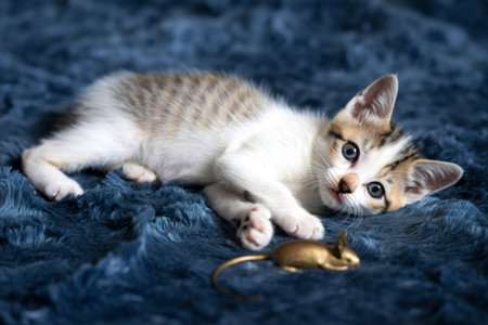 A young tabby and white kitten lies on its side, playfully batting at a small toy mouse on a soft,...